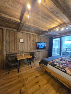 Corso Harrachov Apartment 303